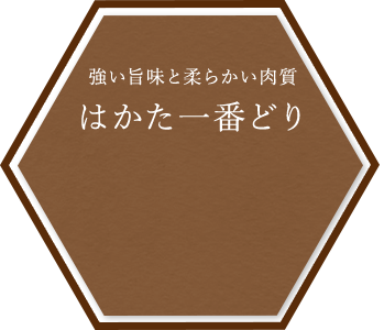 はかた一番どり