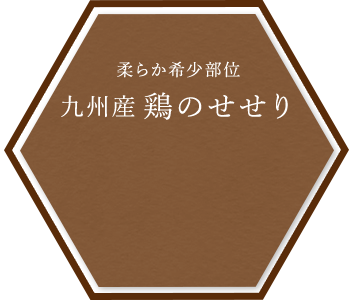 九州産鶏のせせり